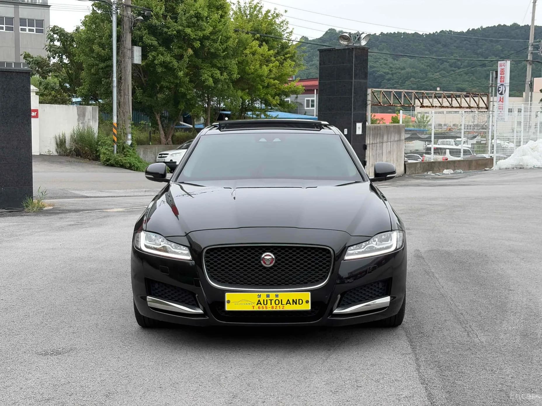 XF (x260)