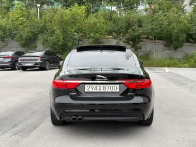 XF (x260)