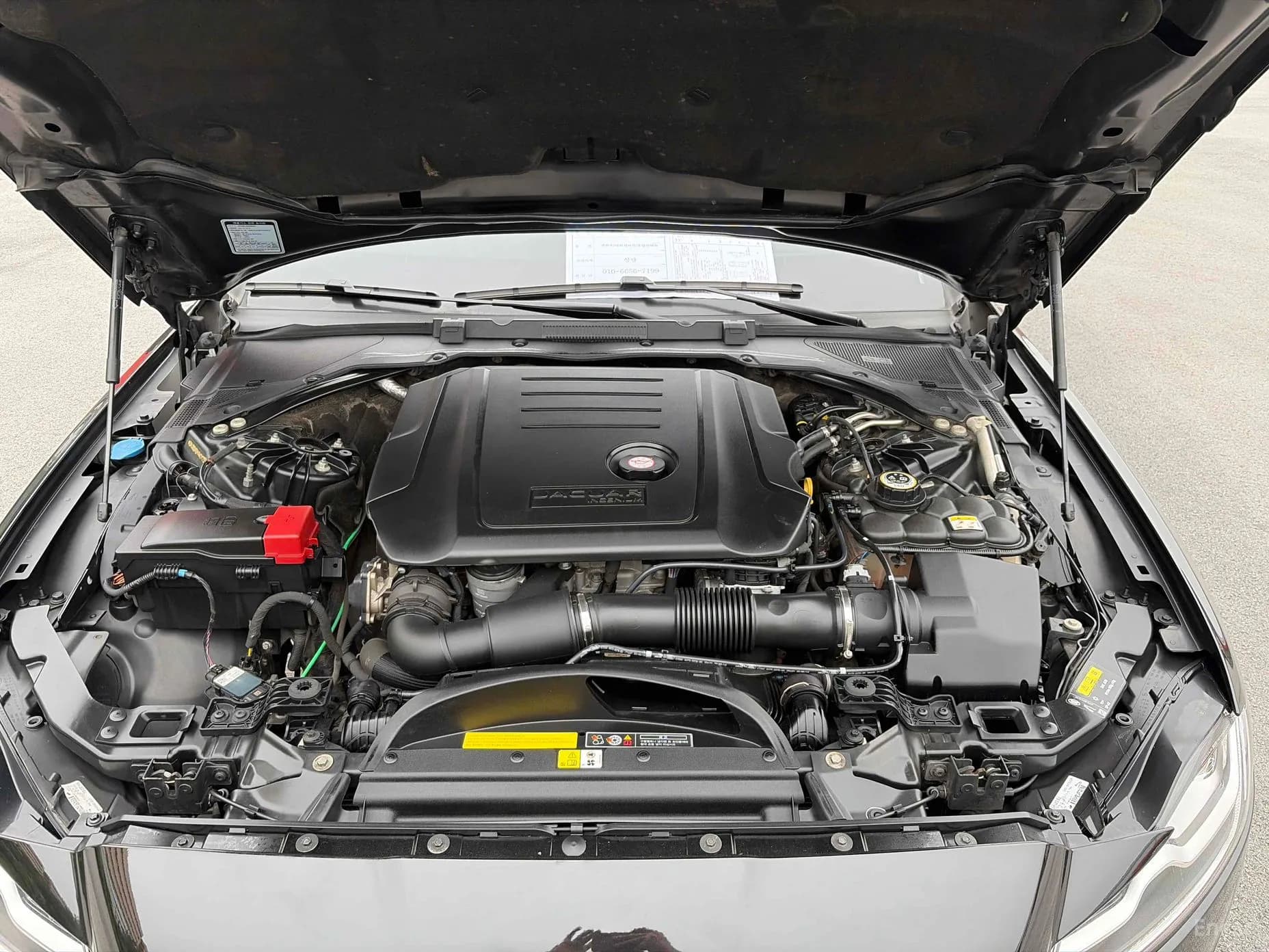 XF (x260)