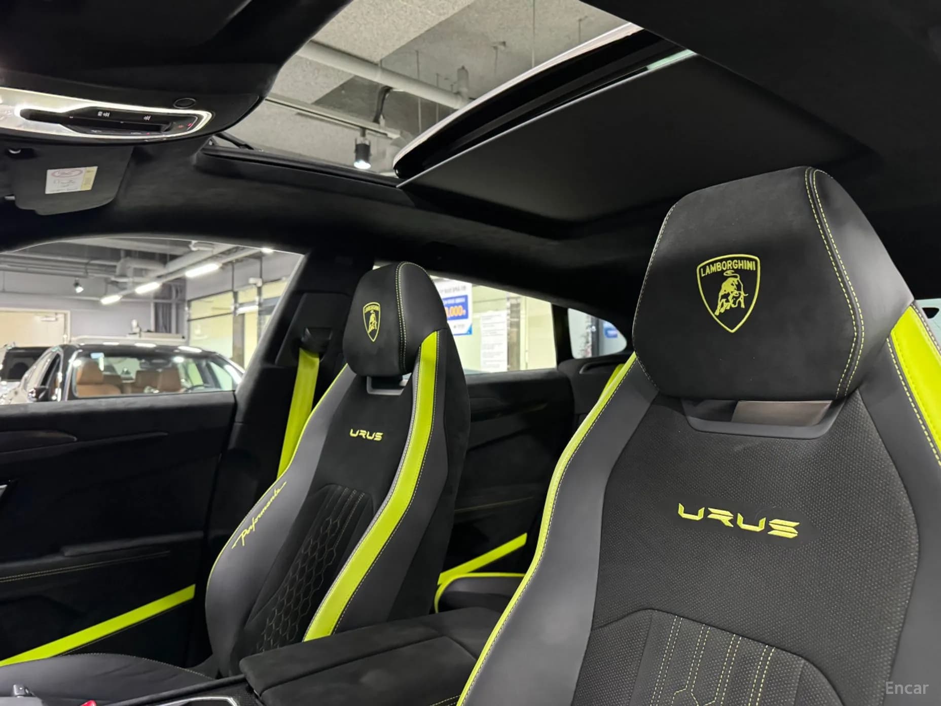 Urus