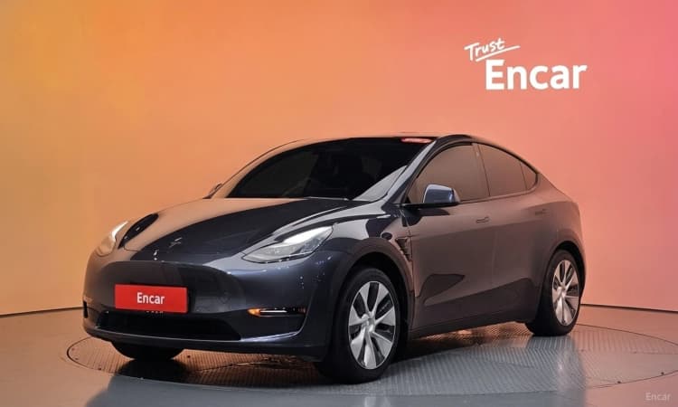 Model Y