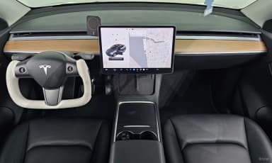 Model Y