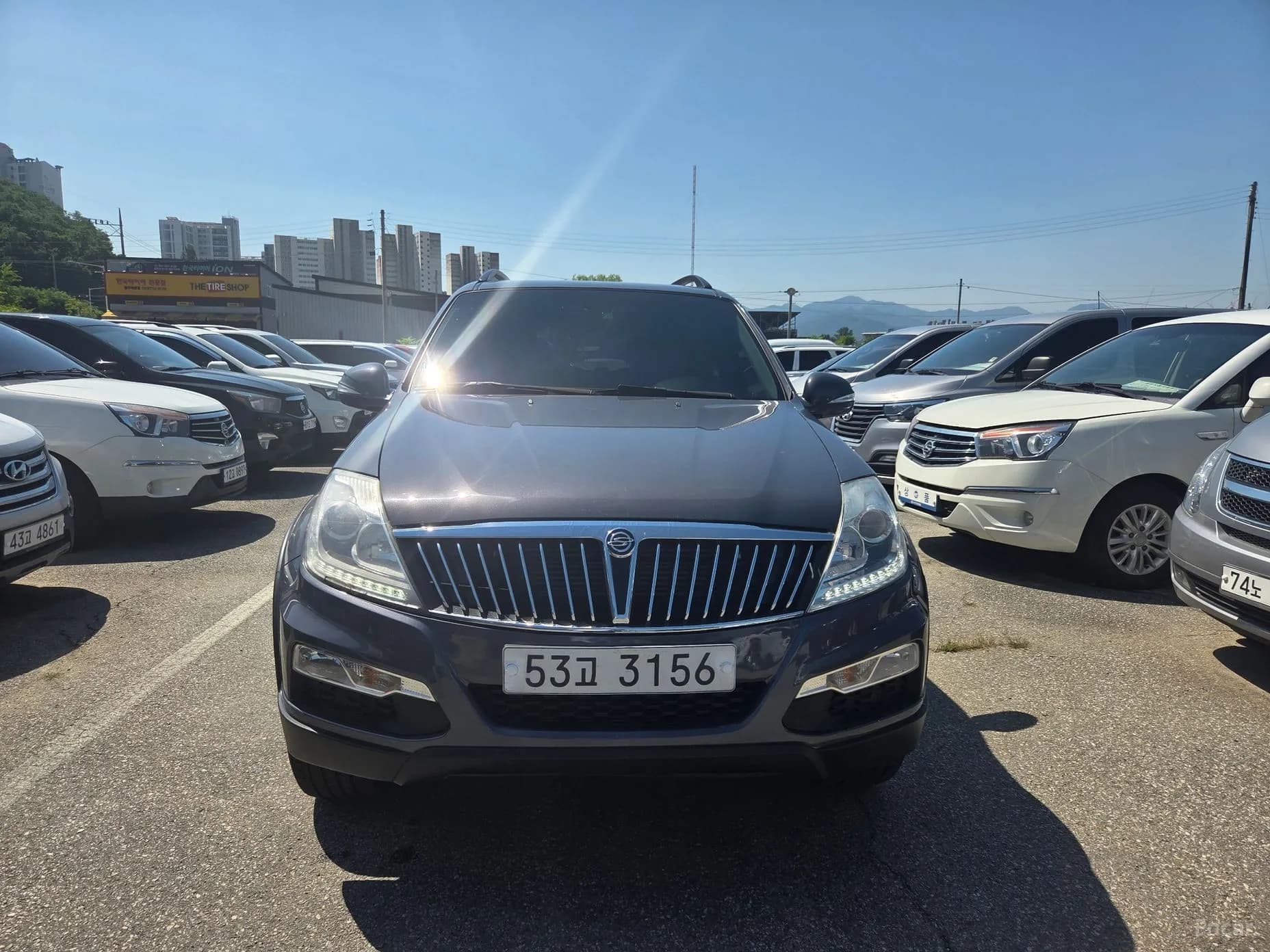 Rexton W