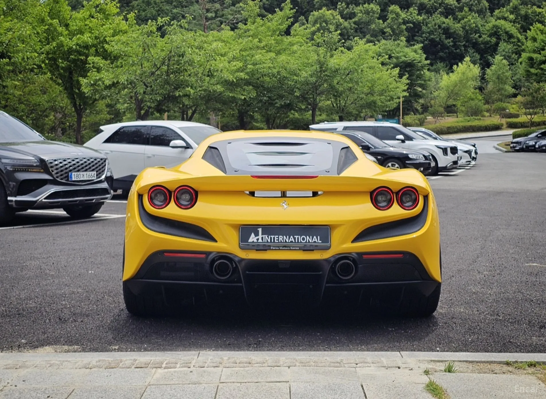 F8 Tributo