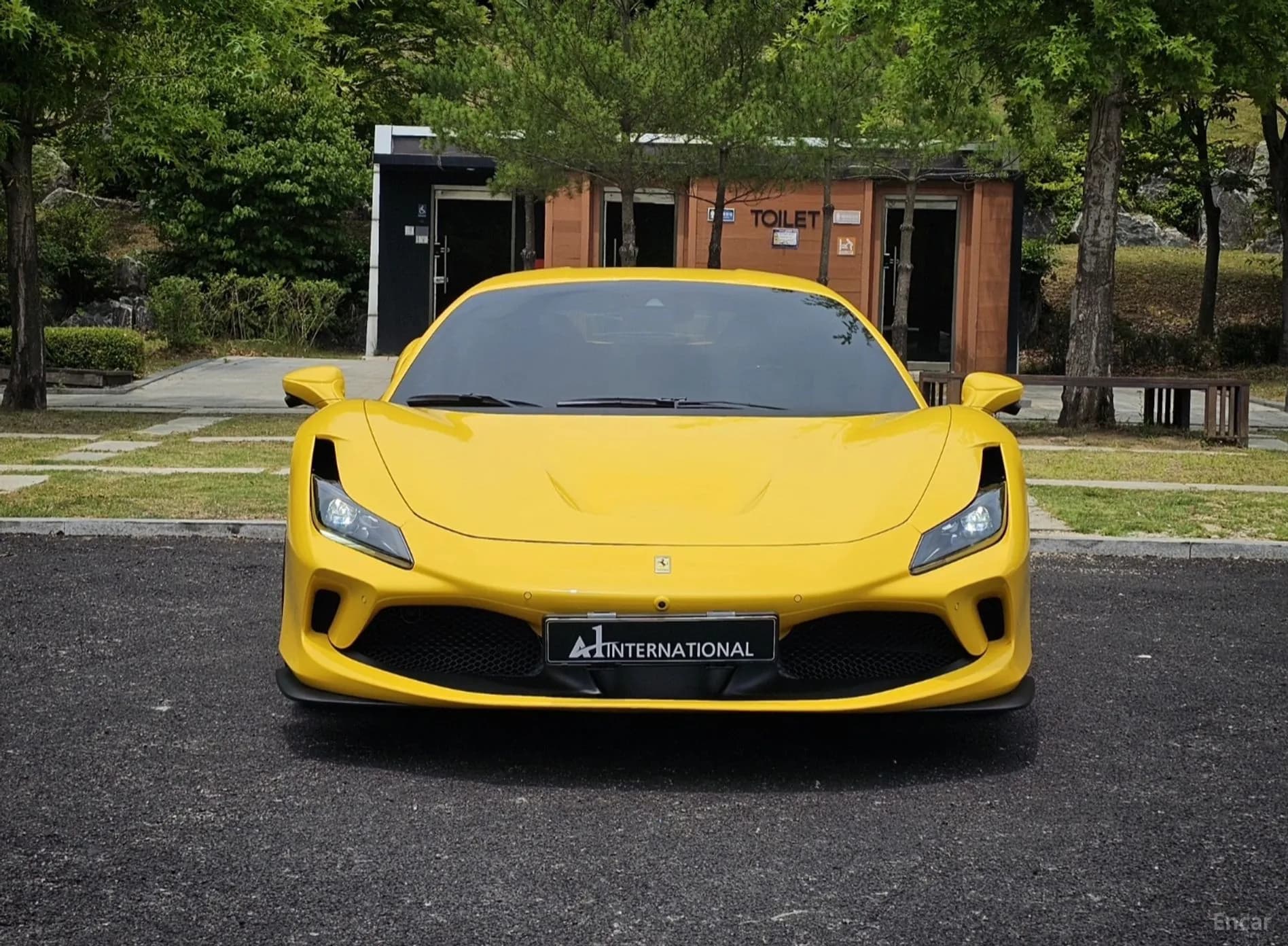 F8 Tributo