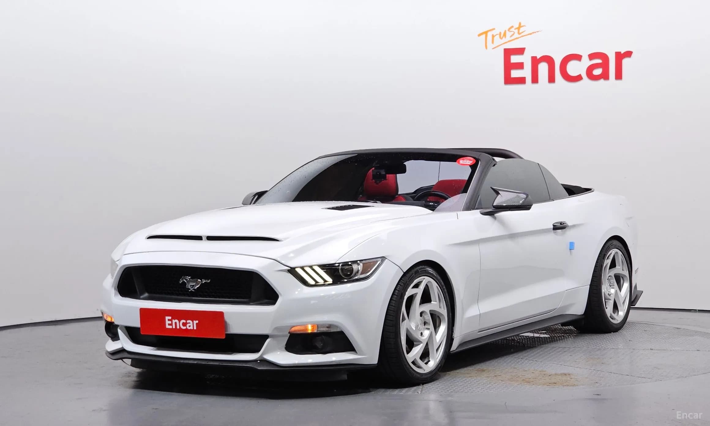 Mustang