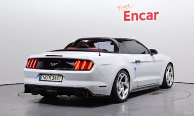 Mustang