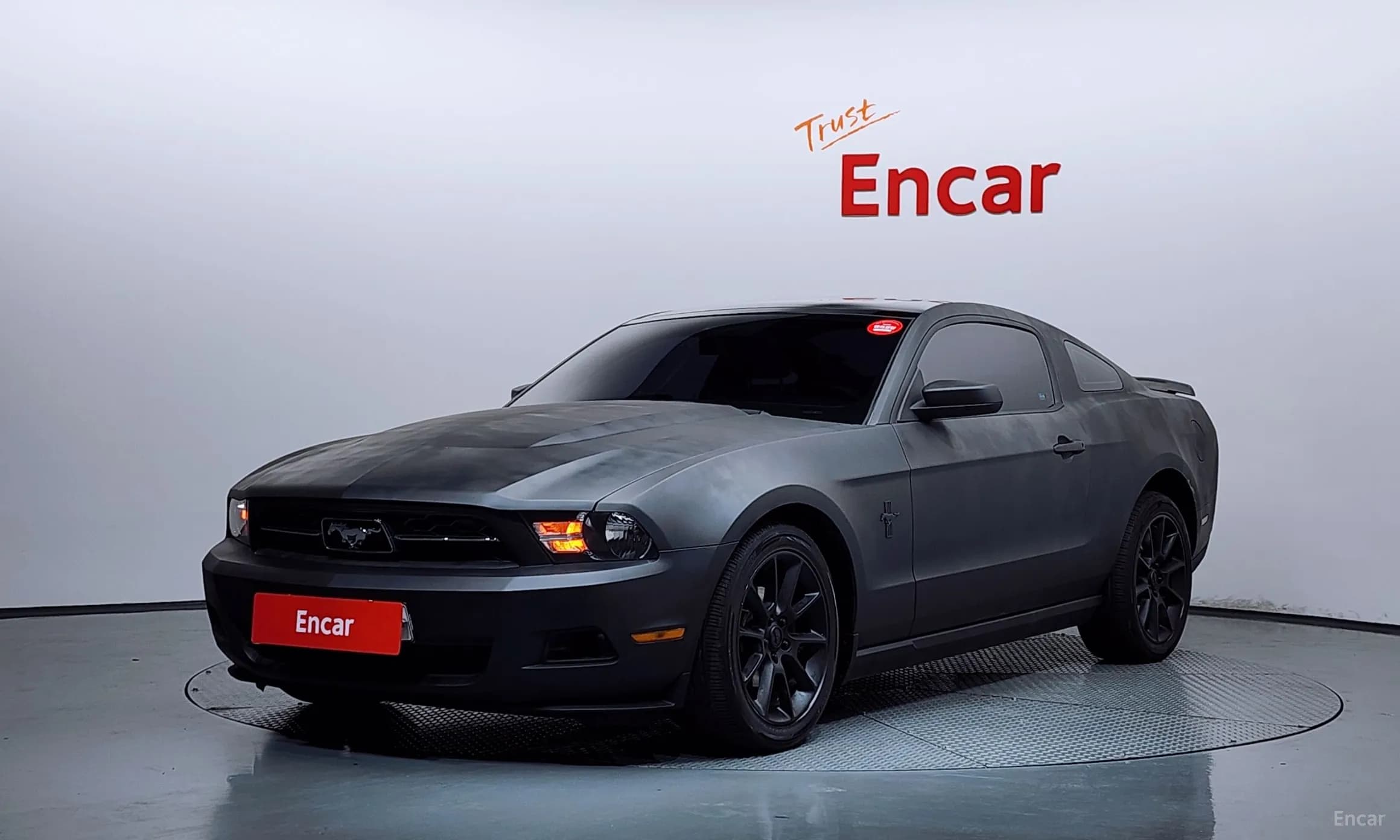 Mustang