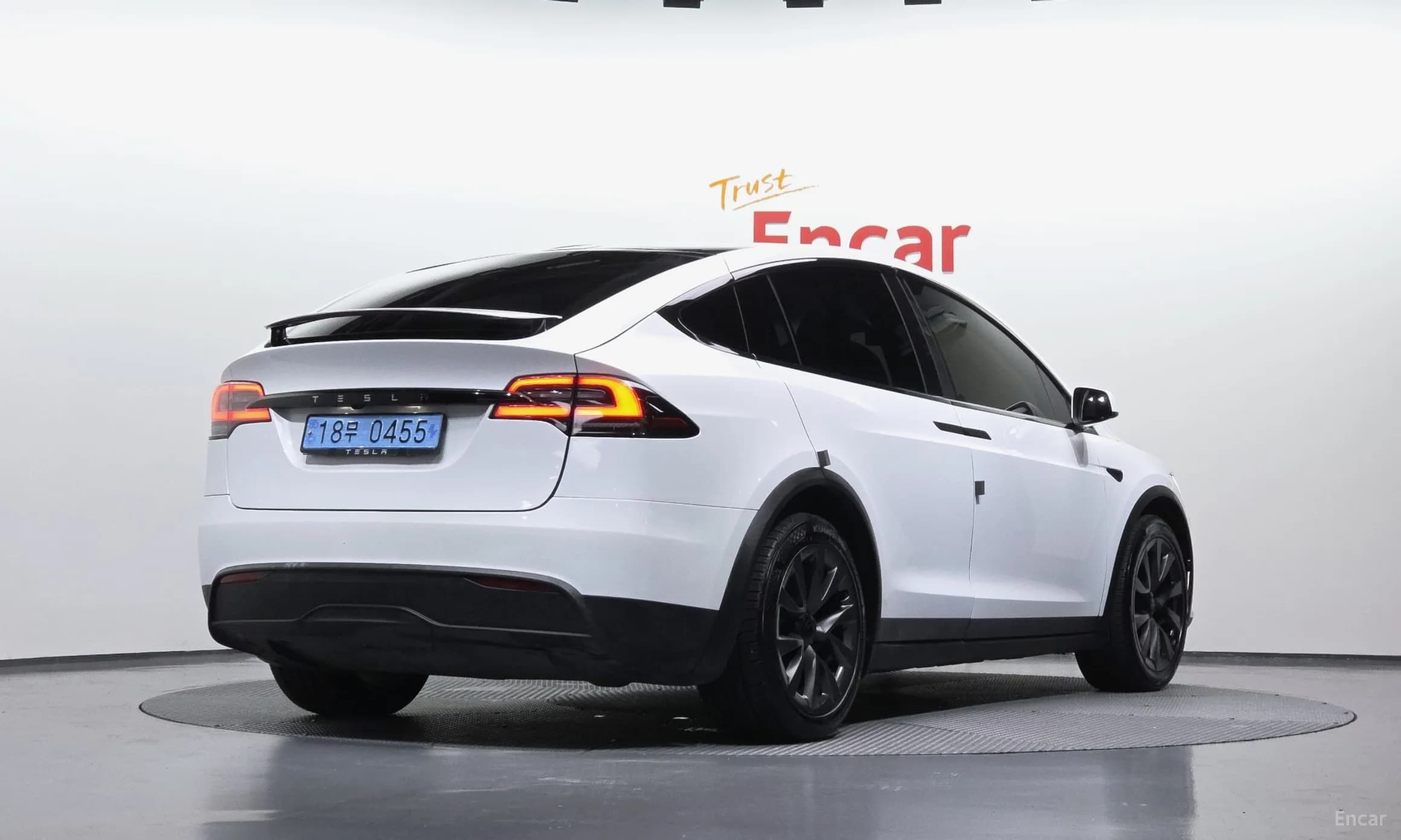 Model X