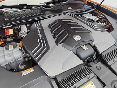 Urus