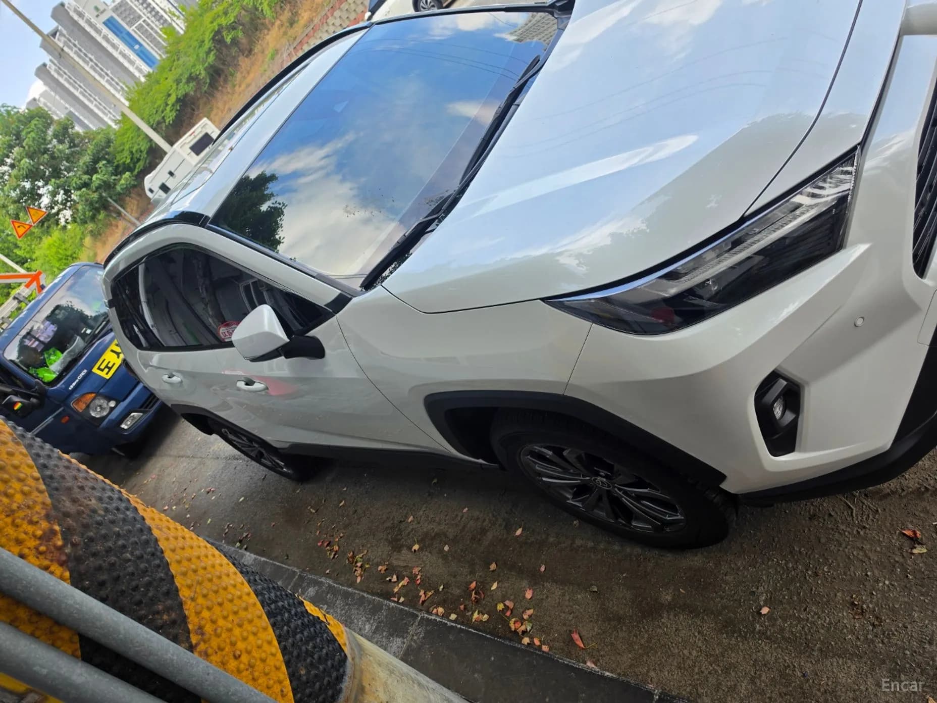 RAV4 5th Generation