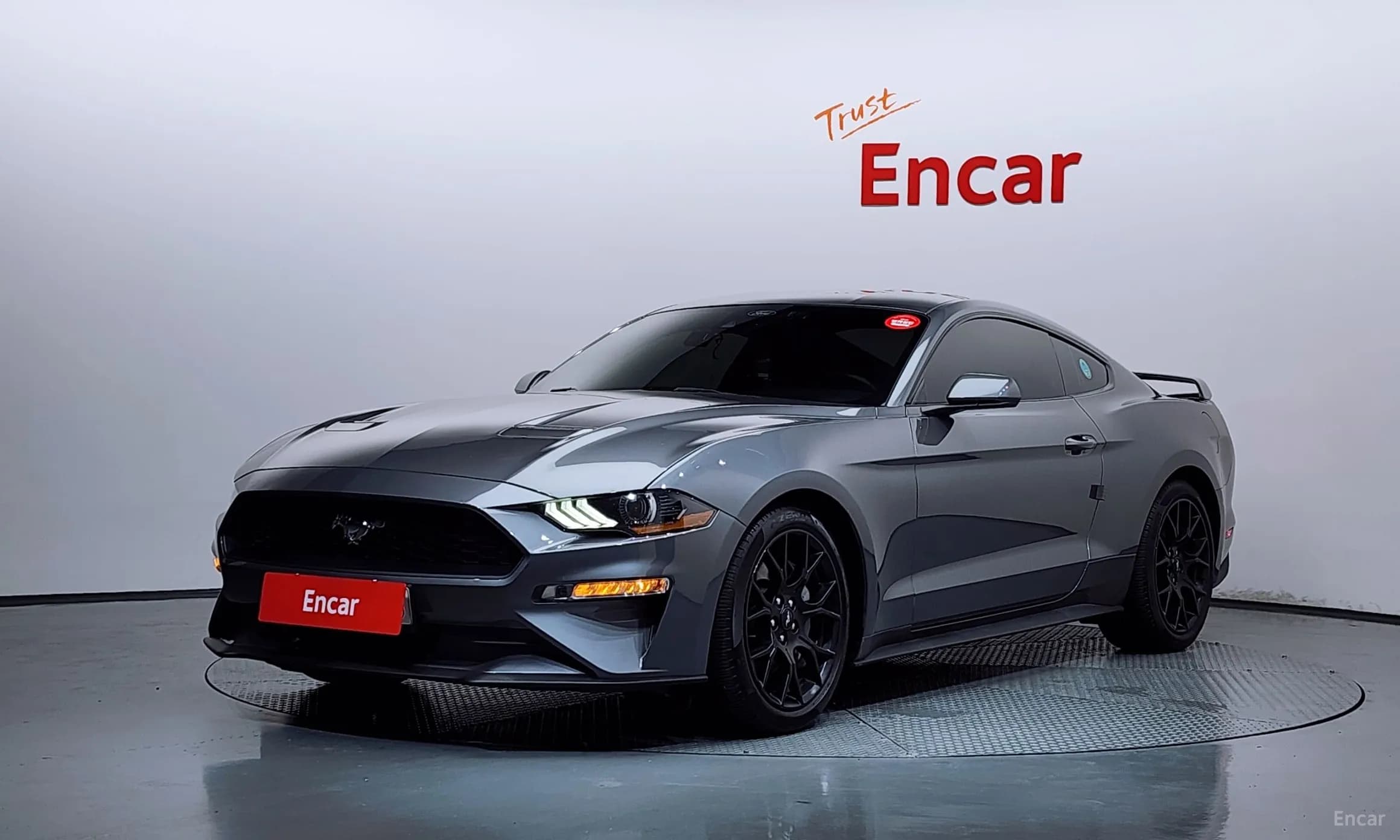 Mustang
