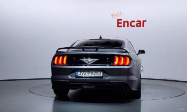 Mustang