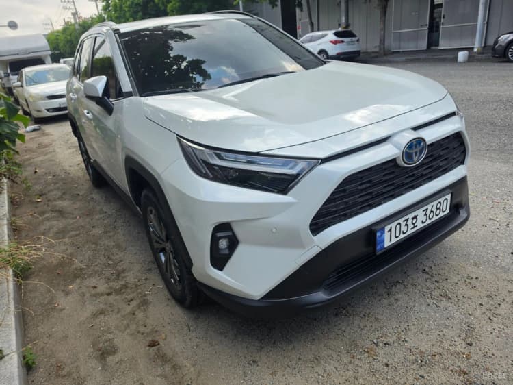 RAV4 5th Generation