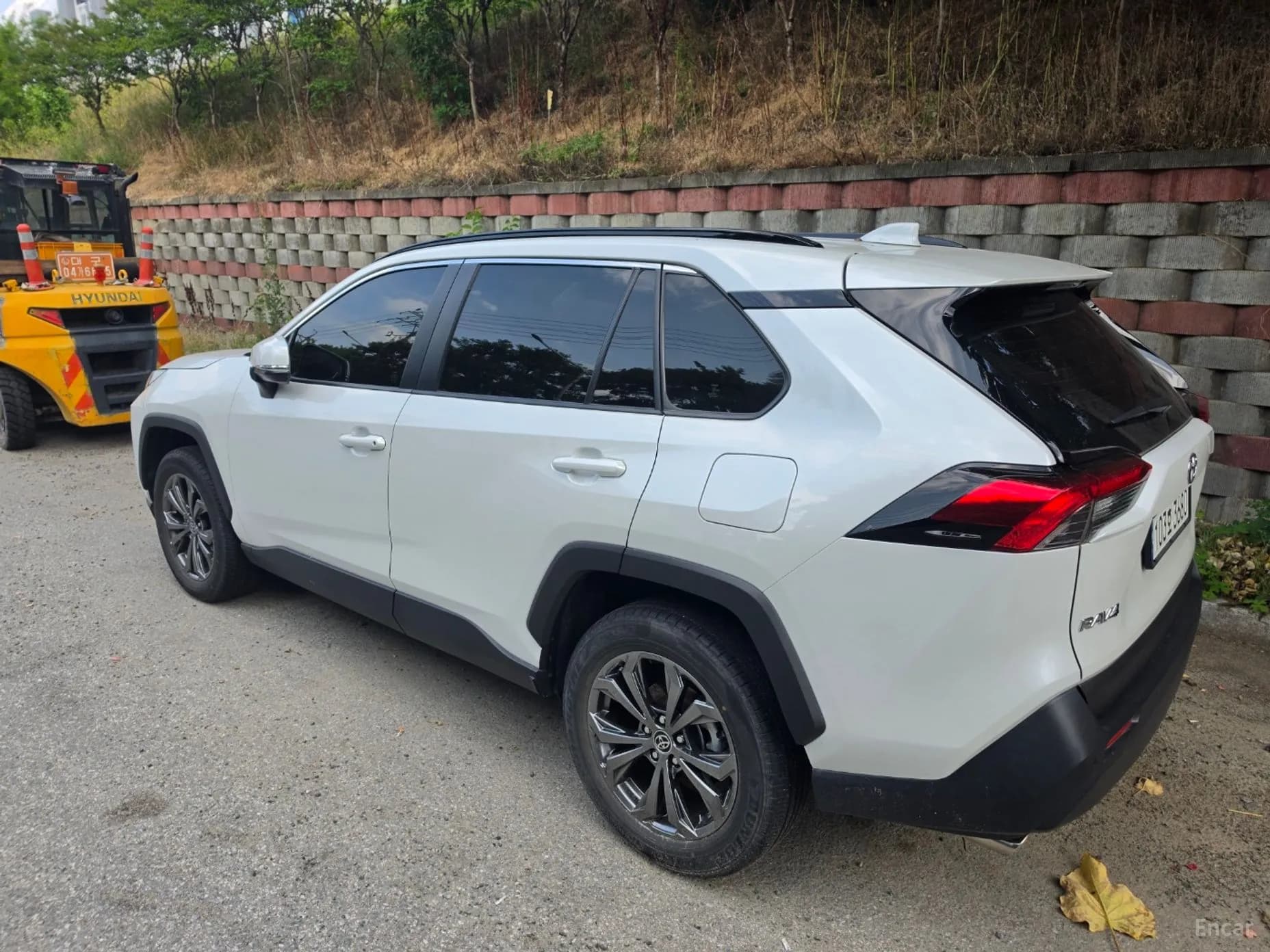 RAV4 5th Generation
