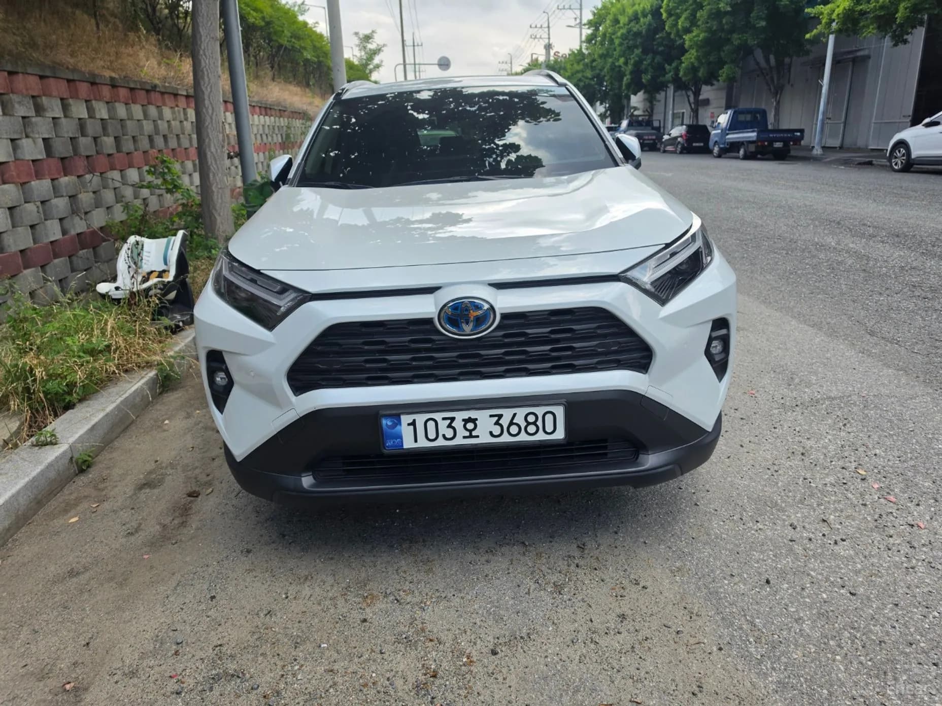 RAV4 5th Generation