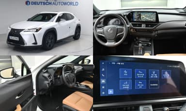 UX300h
