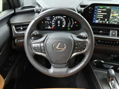UX300h