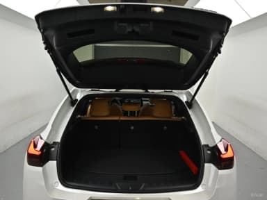 UX300h