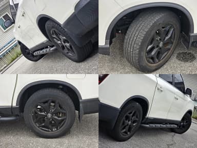 Rexton Sports
