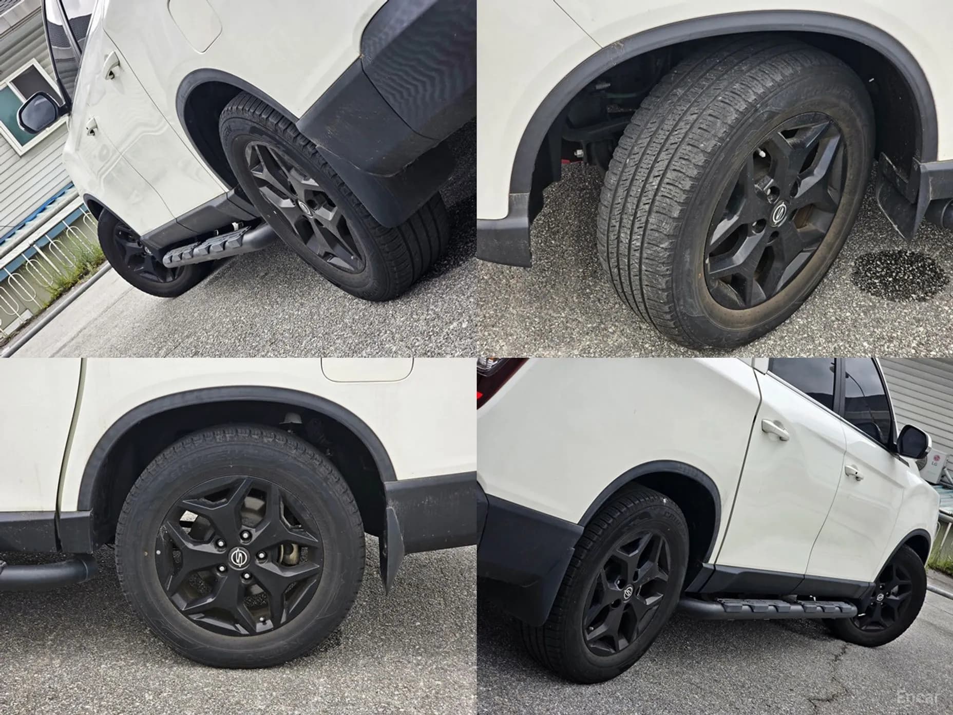 Rexton Sports