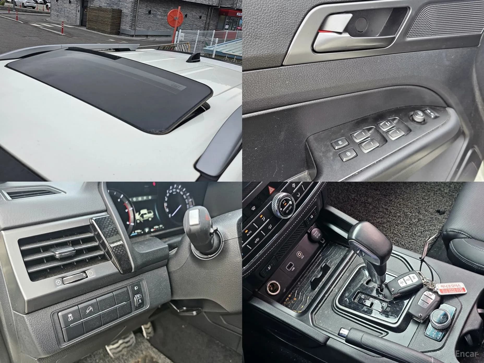 Rexton Sports