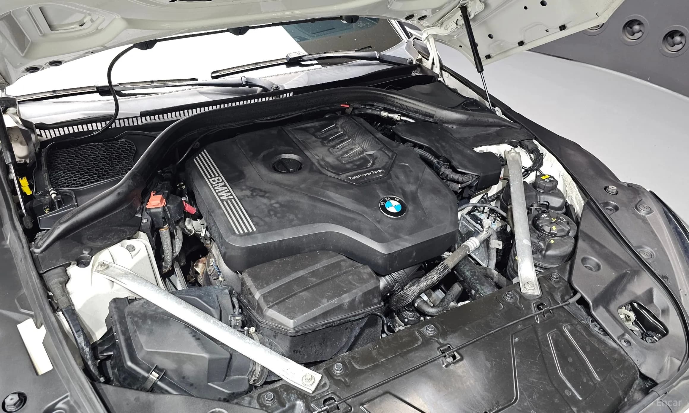 Z4 (G29)