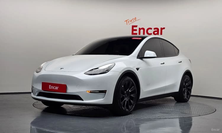 Model Y