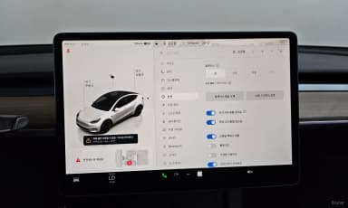 Model Y