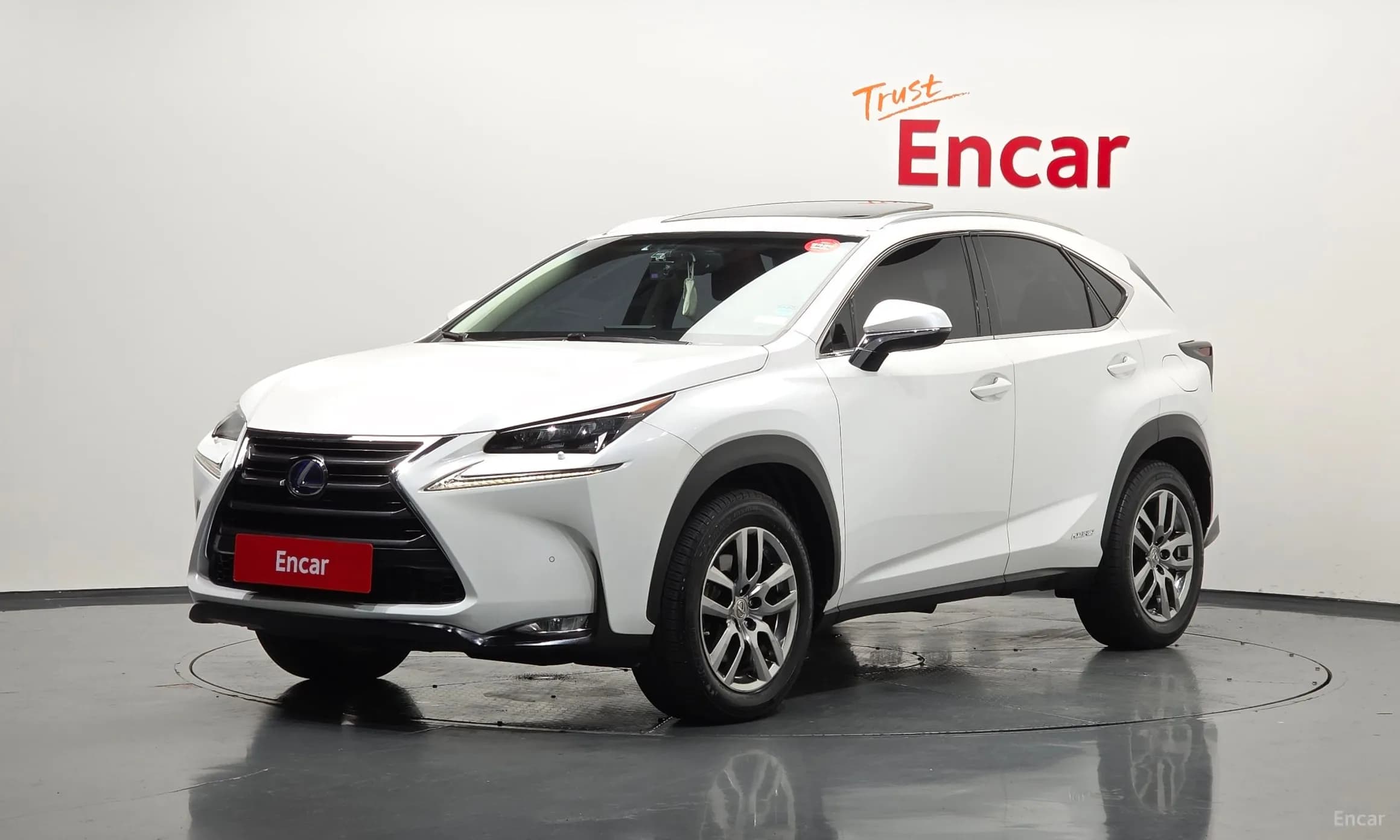 NX300h
