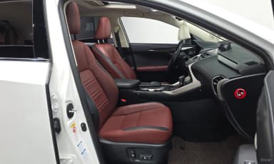 NX300h