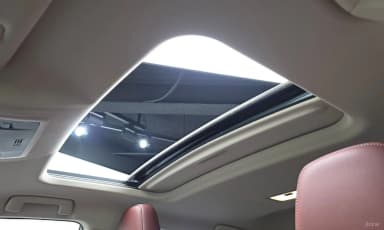 NX300h