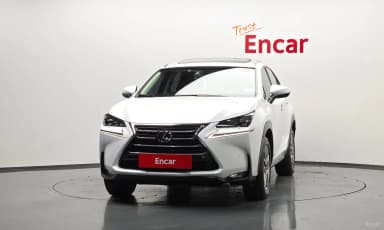 NX300h