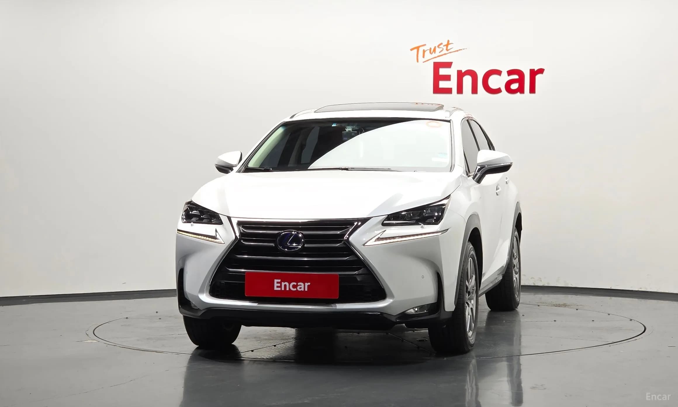 NX300h