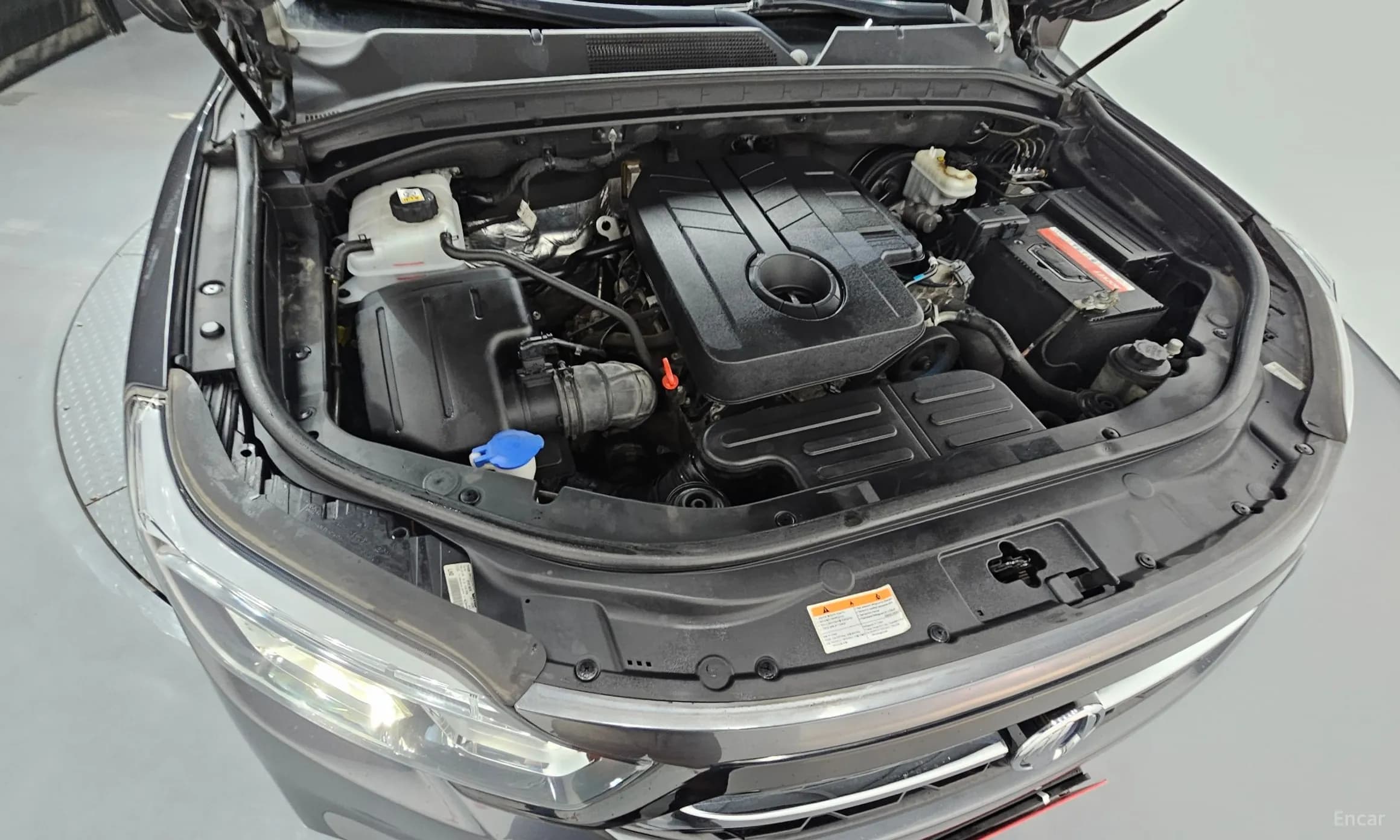 Rexton Sports
