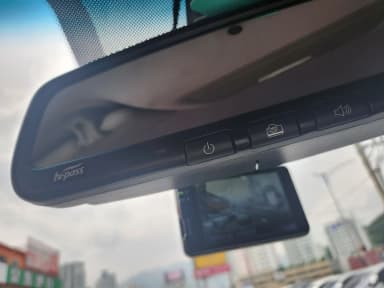 Rexton Sports