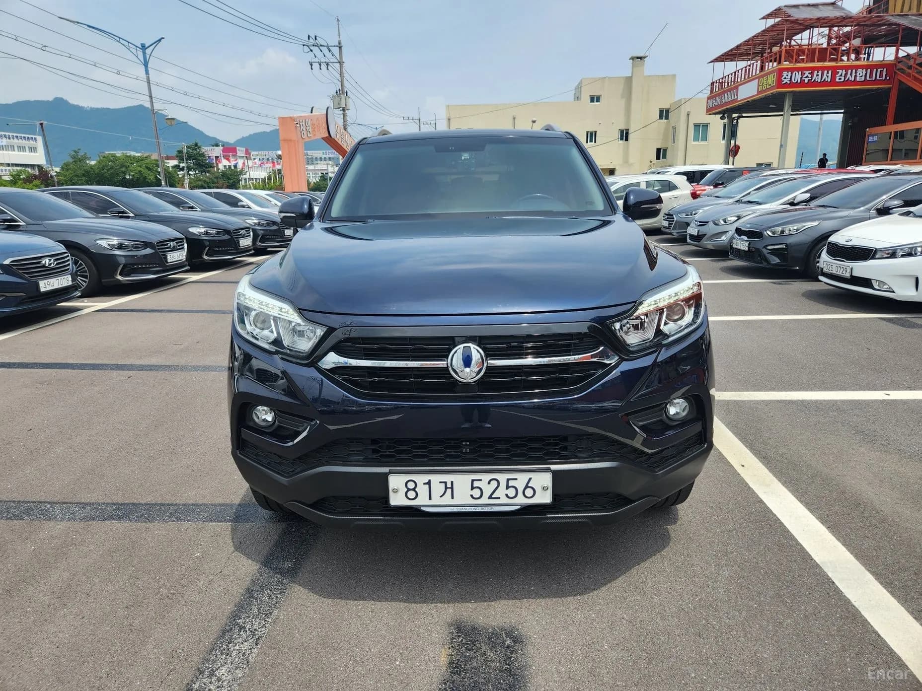 Rexton Sports