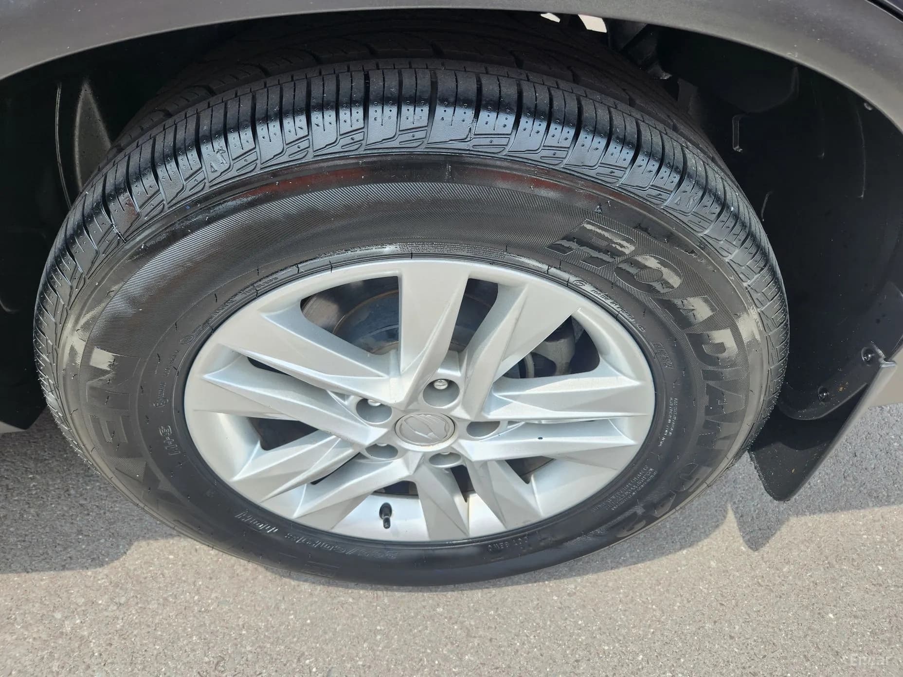 Rexton Sports