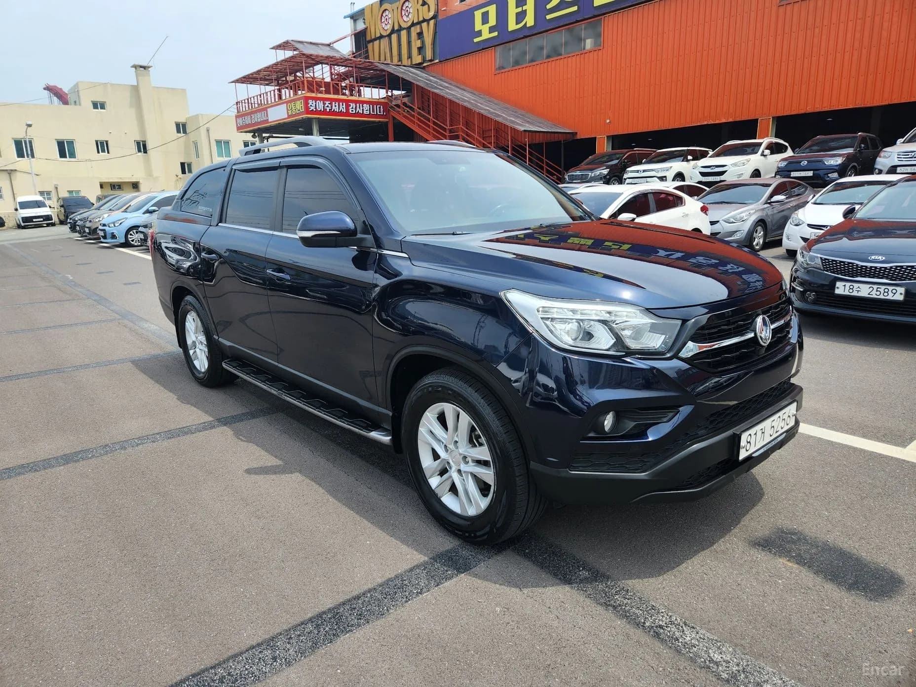 Rexton Sports