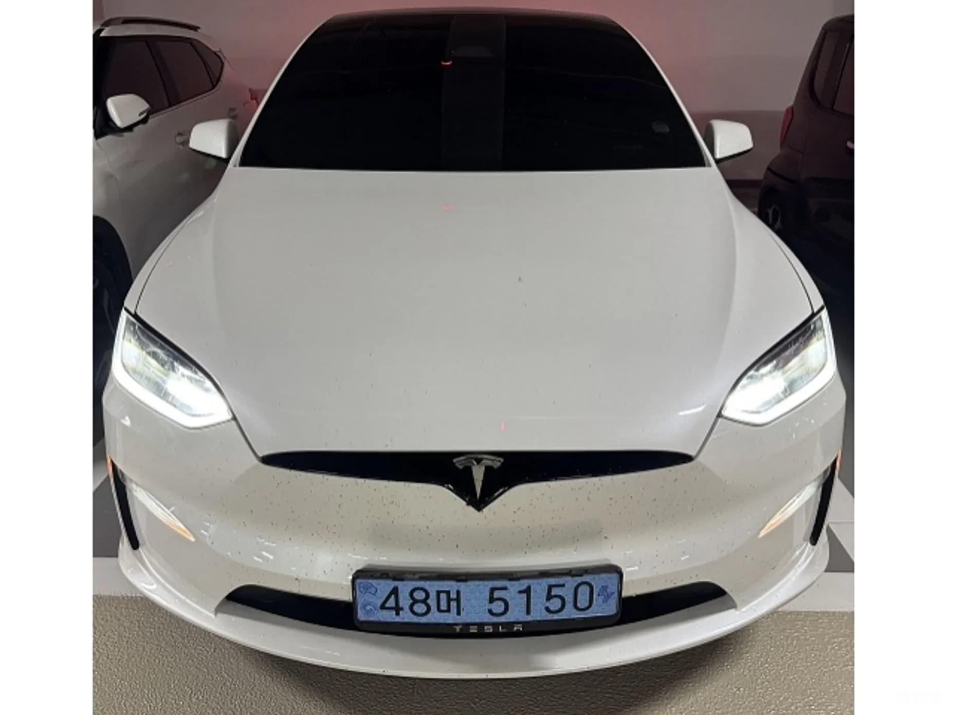 Model X