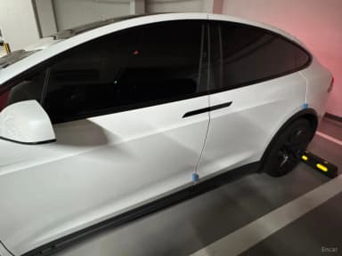 Model X