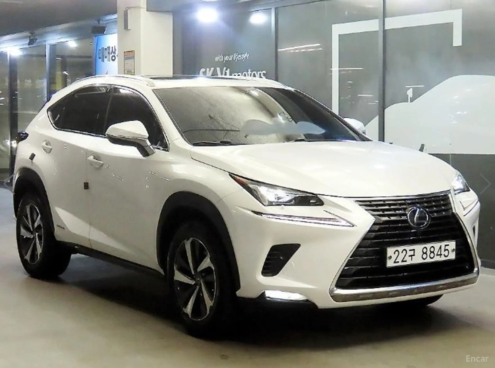 NX300h