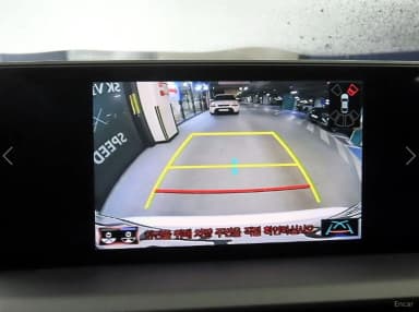 NX300h