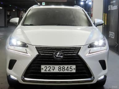 NX300h