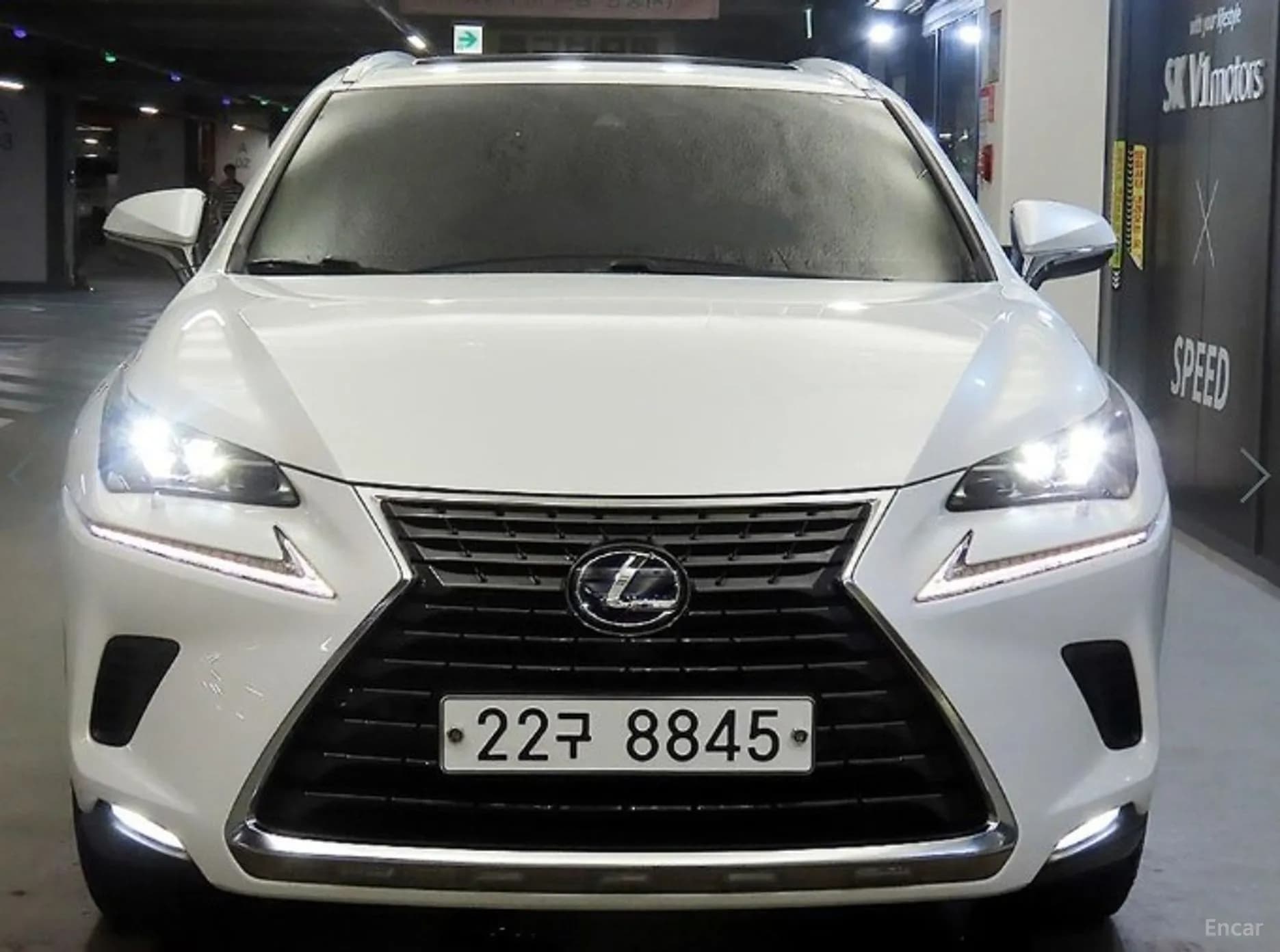 NX300h