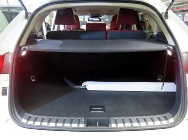NX300h