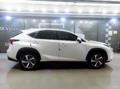 NX300h