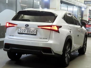NX300h