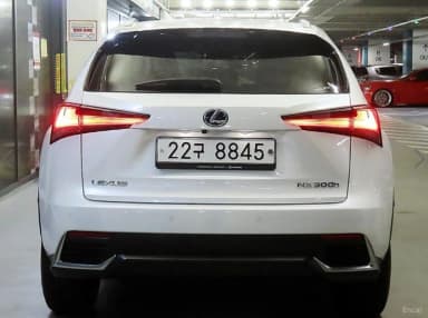 NX300h