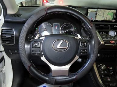 NX300h